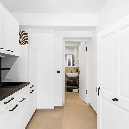 Apartment Luma Luxury Regenburg *